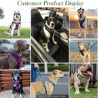 Custom Dog Harness Set | No-Pull Reflective | 20 MOQ | Logo $1.50