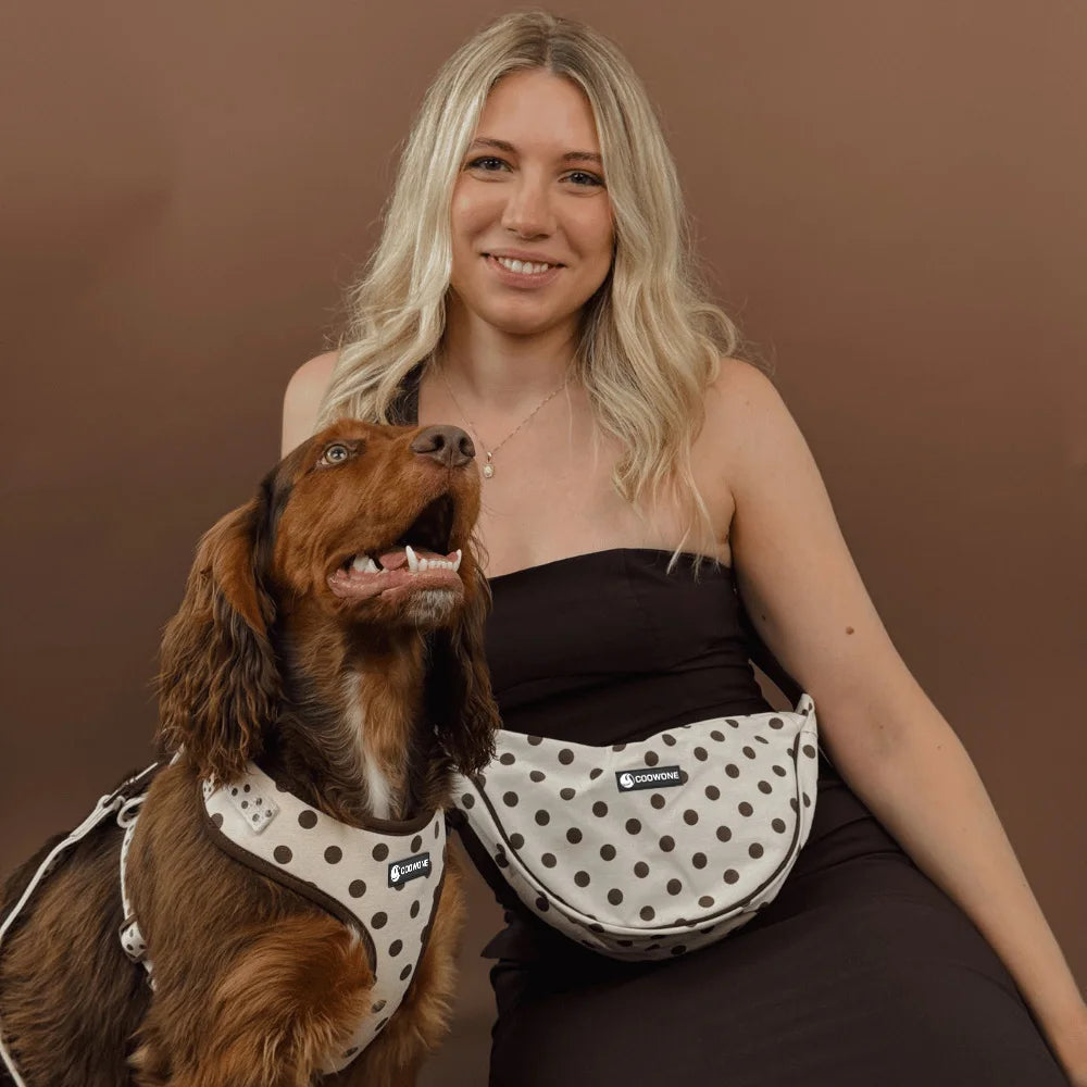 Custom Logo No Pull Dog Harness Set | MOQ 20 Pet Brand
