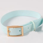 Custom PVC Dog Collar Leash with Logo | MOQ 5 Stock