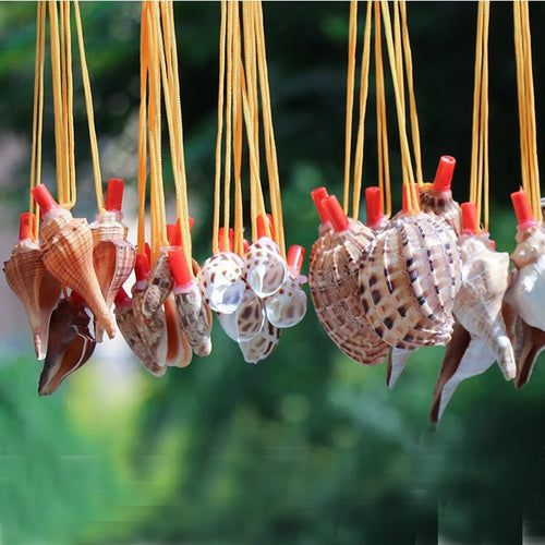 Natural Shell Whistles | Souvenir Gifts | Wholesale Pricing