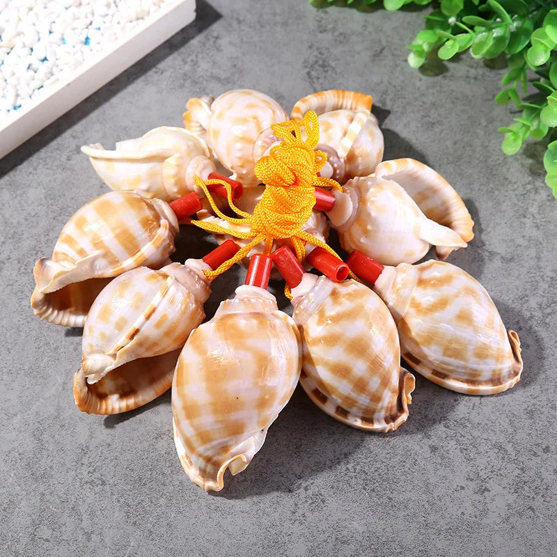 Natural Shell Whistles | Souvenir Gifts | Wholesale Pricing