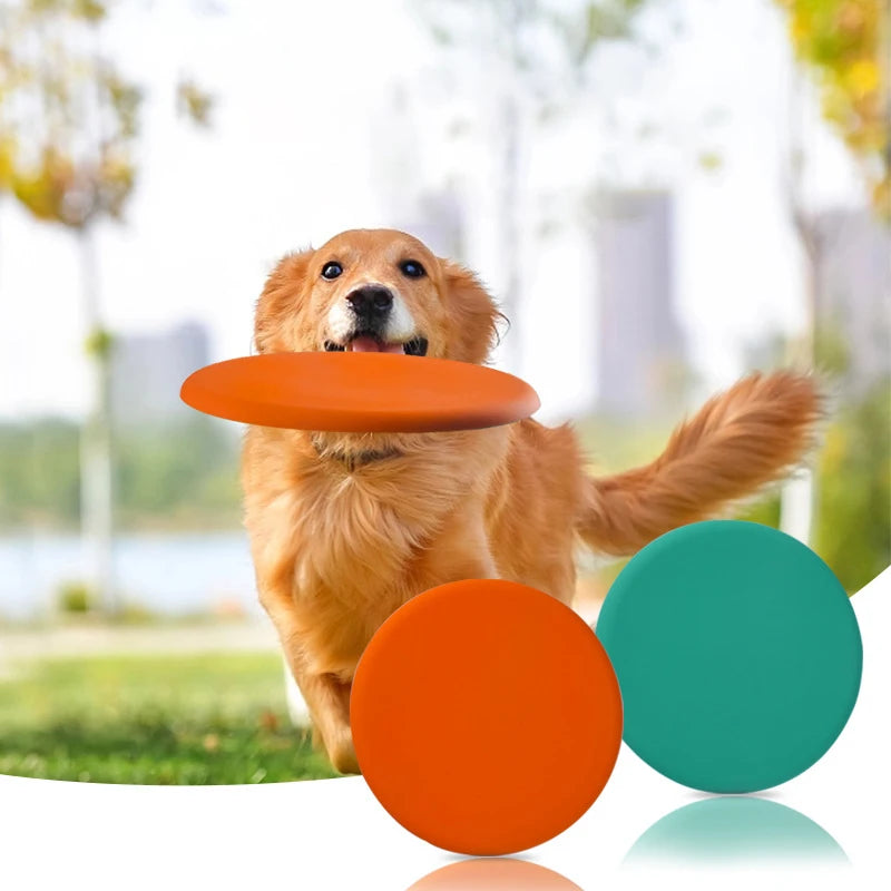 Custom Silicone Flying Disc for Dog Toy and Outdoor Sports | 20cm