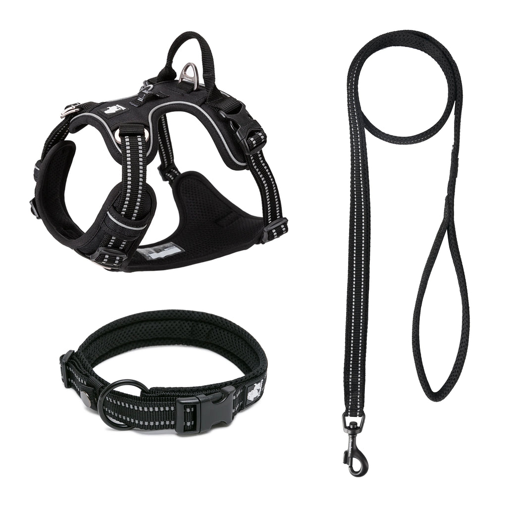 Truelove Pet Harness Set with Logo | 10 MOQ | 7-Day Lead