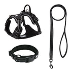 Truelove Pet Harness Set with Logo | 10 MOQ | 7-Day Lead