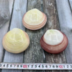 Natural Shell Pendants 50 pcs | Wholesale Craft Charms