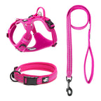 Truelove Pet Harness Set with Logo | 10 MOQ | 7-Day Lead