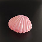 Seashell Favor Boxes | Iridescent Wedding Favors | Personalized