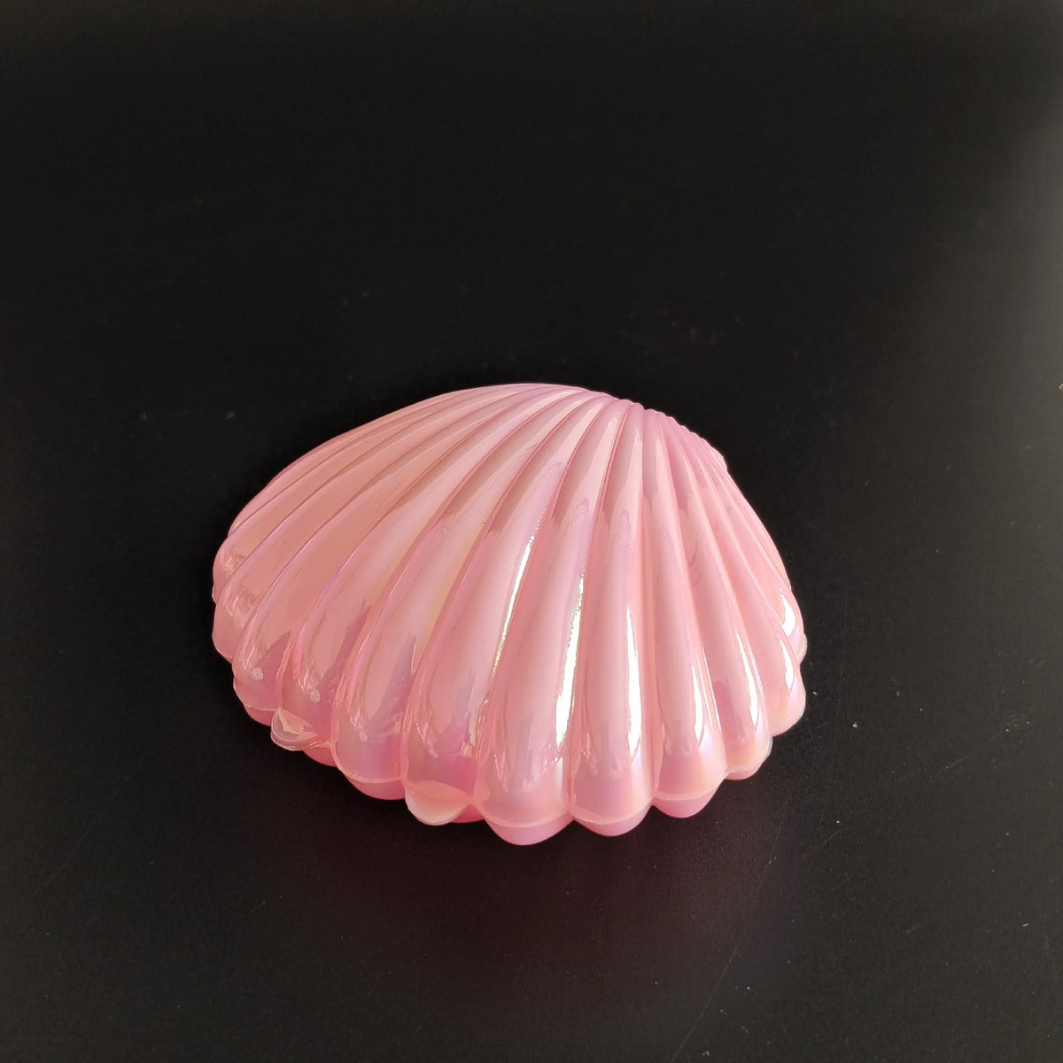 Seashell Favor Boxes | Iridescent Wedding Favors | Personalized