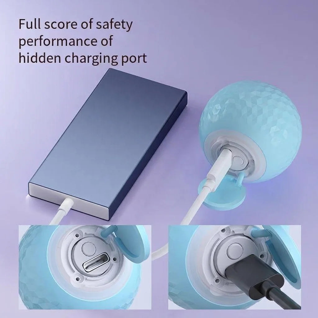 Custom Electric Pet Toy Ball | USB Rechargeable Interactive Toy | Wholesale