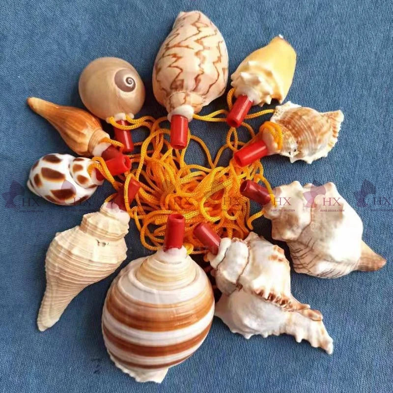 Natural Shell Whistles | Souvenir Gifts | Wholesale Pricing
