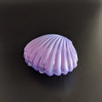 Seashell Favor Boxes | Iridescent Wedding Favors | Personalized