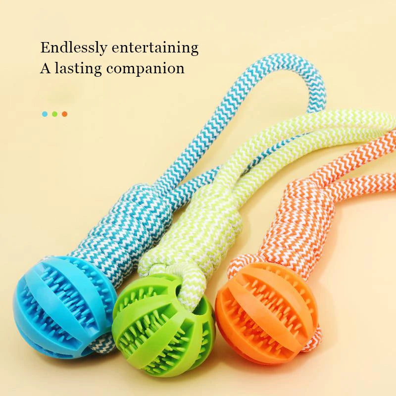 Braided Rope & Rubber Ball Dog Toy | 5 Pcs MOQ | BSCI Certified