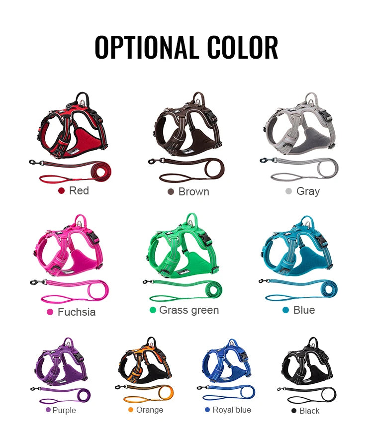 Truelove Pet Harness Set with Logo | 10 MOQ | 7-Day Lead