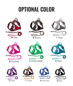 Truelove Pet Harness Set with Logo | 10 MOQ | 7-Day Lead