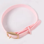 Custom PVC Dog Collar Leash with Logo | MOQ 5 Stock