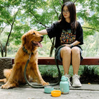 Custom Stainless Steel Pet Bottle | 32oz 3-in-1 | 600 MOQ | Free Sample