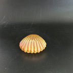 Seashell Favor Boxes | Iridescent Wedding Favors | Personalized