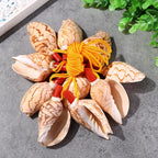 Natural Shell Whistles | Souvenir Gifts | Wholesale Pricing