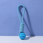 Braided Rope & Rubber Ball Dog Toy | 5 Pcs MOQ | BSCI Certified