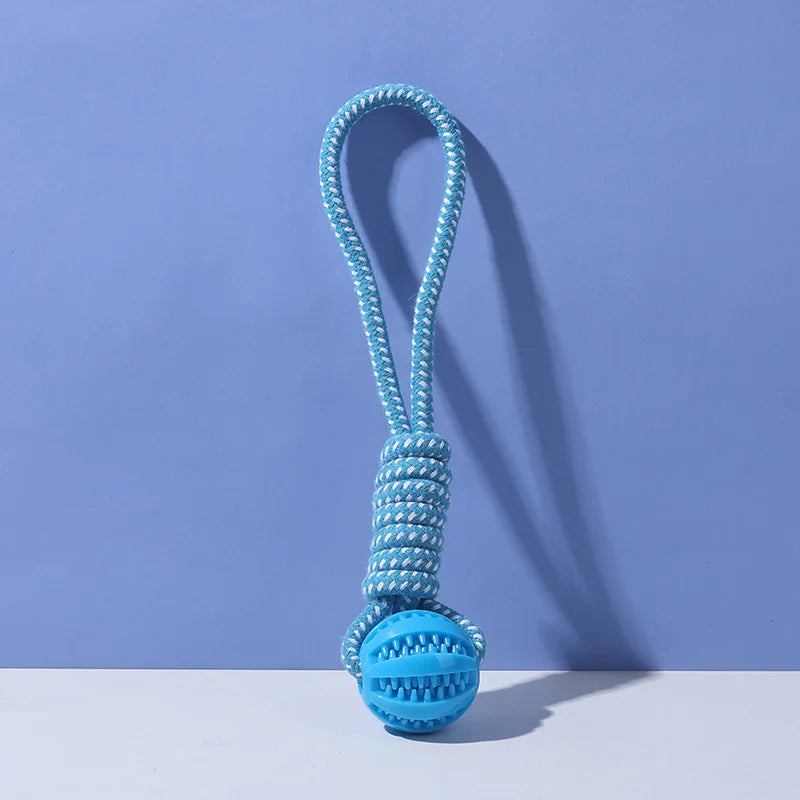 Braided Rope & Rubber Ball Dog Toy | 5 Pcs MOQ | BSCI Certified