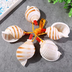 Natural Shell Whistles | Souvenir Gifts | Wholesale Pricing