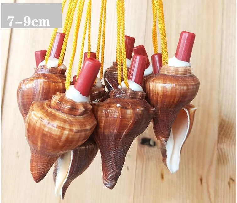 Natural Shell Whistles | Souvenir Gifts | Wholesale Pricing
