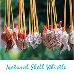 Natural Shell Whistles | Souvenir Gifts | Wholesale Pricing