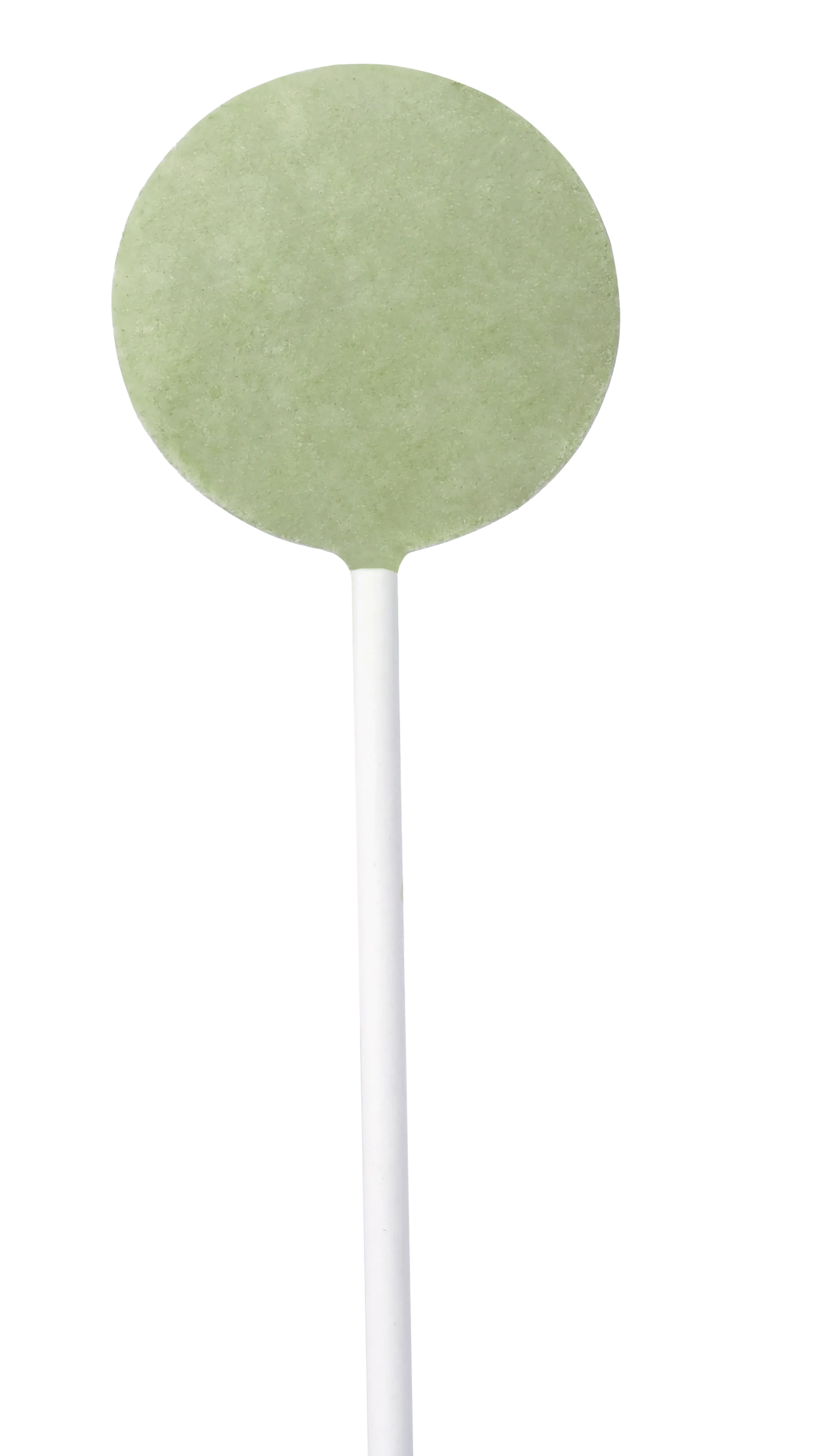 OEM Cat Lollipop Treats Wholesale | ISO FDA Certified Pet Snacks