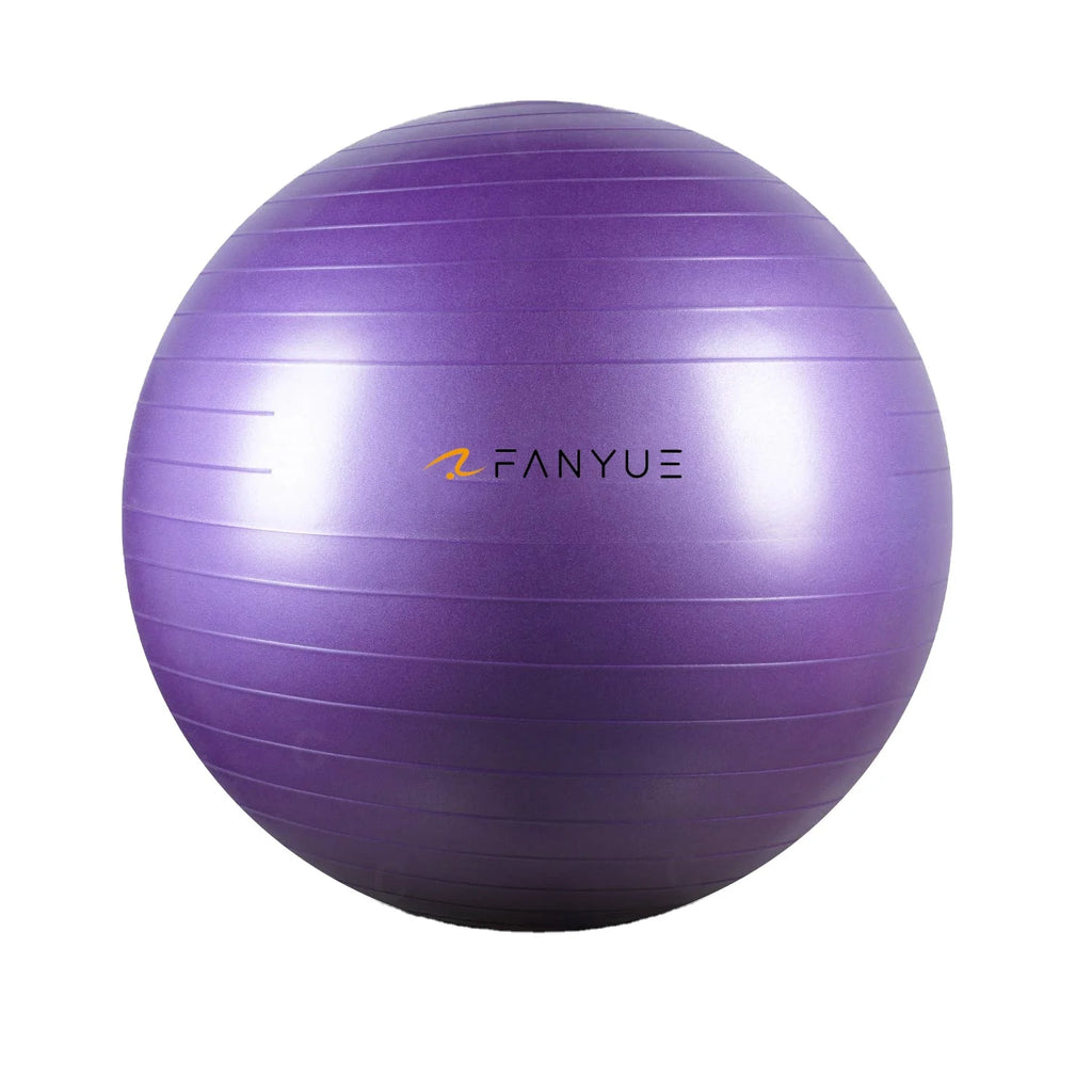 Custom Anti-Burst Exercise Ball | PVC Yoga Ball with Pump | Bulk Fitness Equipment