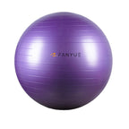 Custom Anti-Burst Exercise Ball | PVC Yoga Ball with Pump | Bulk Fitness Equipment