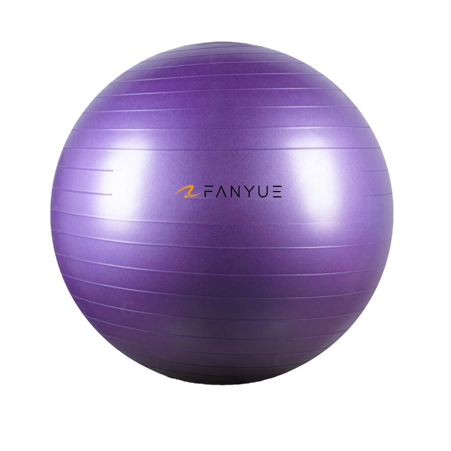 Custom Anti-Burst Exercise Ball | PVC Yoga Ball with Pump | Bulk Fitness Equipment