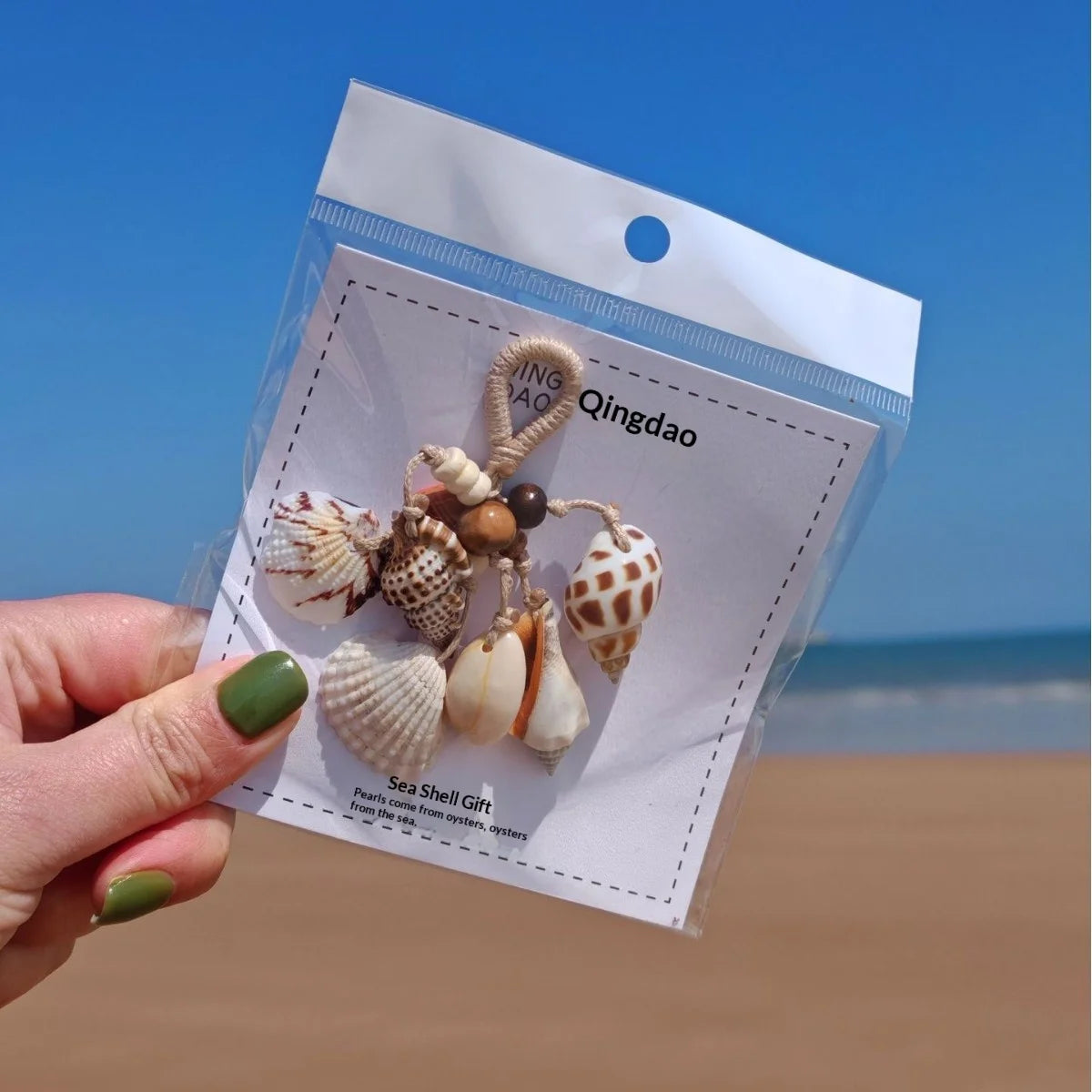 Handmade Shell Wind Chimes | Seaside Decor | Wholesale Supply