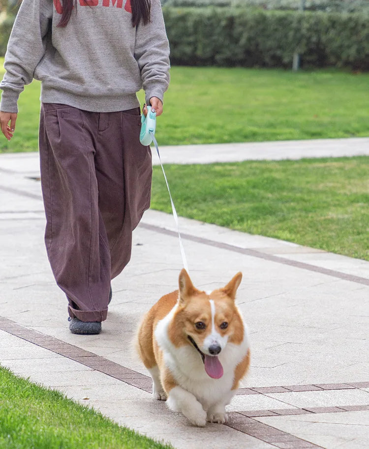 Custom Retractable Dog Leash with Logo | Durable ABS