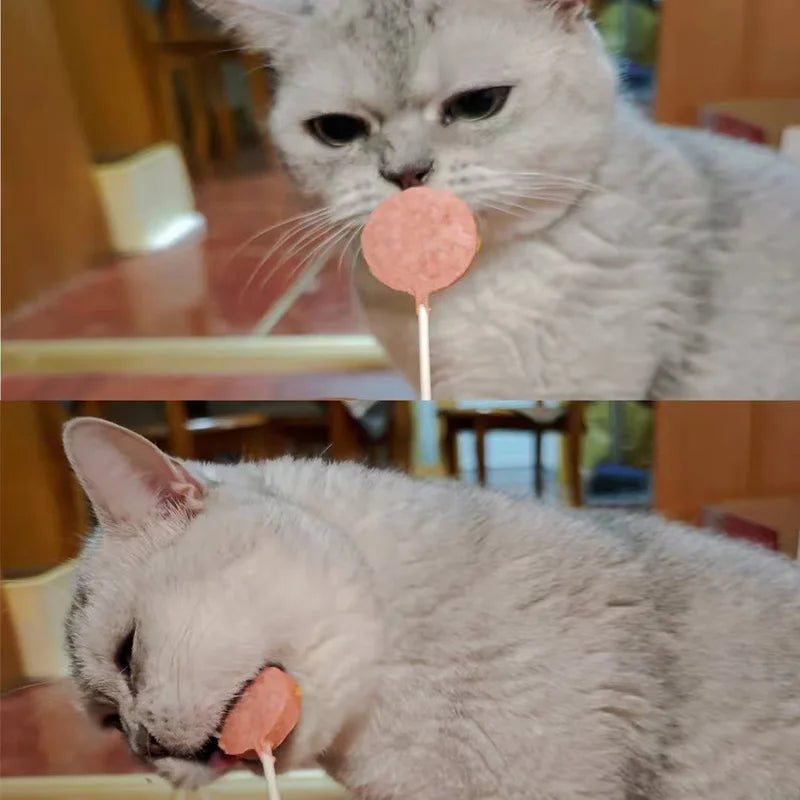 OEM Cat Lollipop Treats Wholesale | ISO FDA Certified Pet Snacks