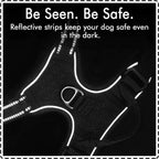 Custom Dog Harness Set | No-Pull Reflective | 20 MOQ | Logo $1.50