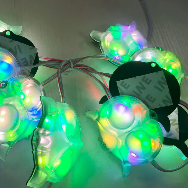 LED Module 12V Vehicle Lamp RGB | MOQ 20 pcs