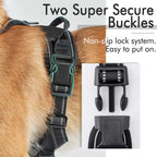 Custom Logo Dog Harness Set Wholesale | Reflective Adjustable No-Pull with BSCI