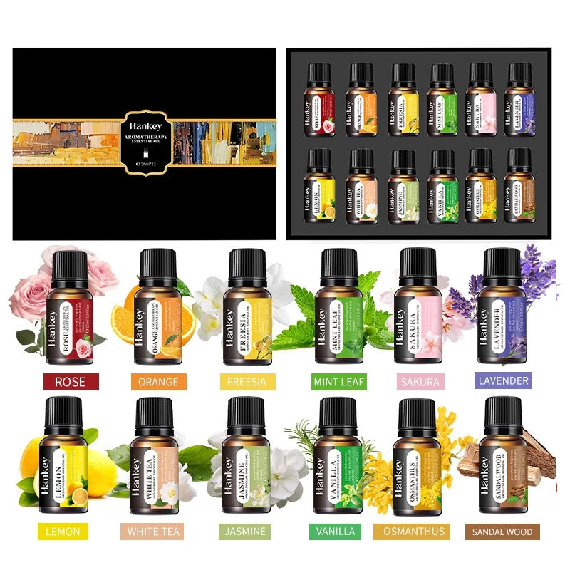 Aromatherapy Essential Oil Gift Set | Water-Soluble | 15-Day Fragrance