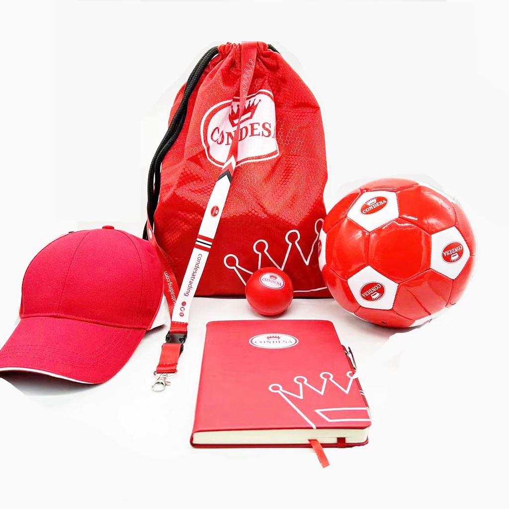 Personalized Corporate Gift Set with Custom Logo | MOQ 500