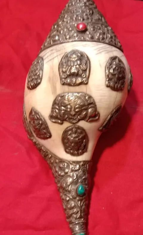 Natural Conch Shells | Buddhist Art Decor | Eco-Friendly