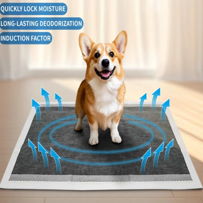 Custom 5-Layer Pet Training Pads with Japan SAP | Bulk Wholesale Dog Puppy Pads 10,000 MOQ
