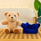 Custom Teddy Bears | 1 MOQ | 7-Day Sample | Embroidered Logo