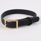 Custom PVC Dog Collar Leash with Logo | MOQ 5 Stock