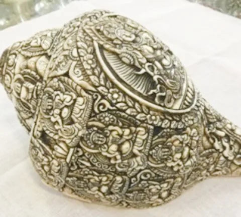 Natural Conch Shells | Buddhist Art Decor | Eco-Friendly