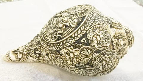 Natural Conch Shells | Buddhist Art Decor | Eco-Friendly